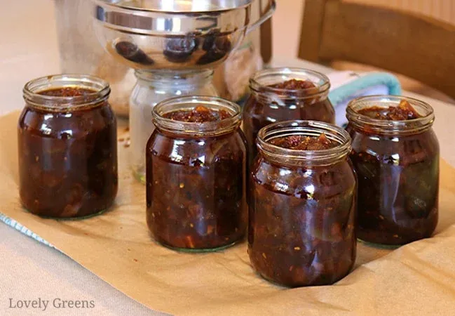 Grünes Tomaten-Chutney in Gläser löffeln