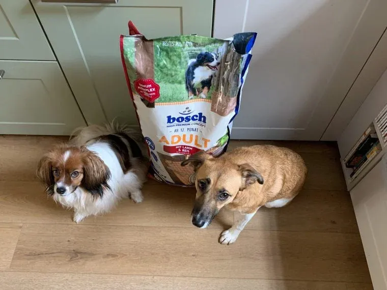 Hunde testen Bosch Hundefutter