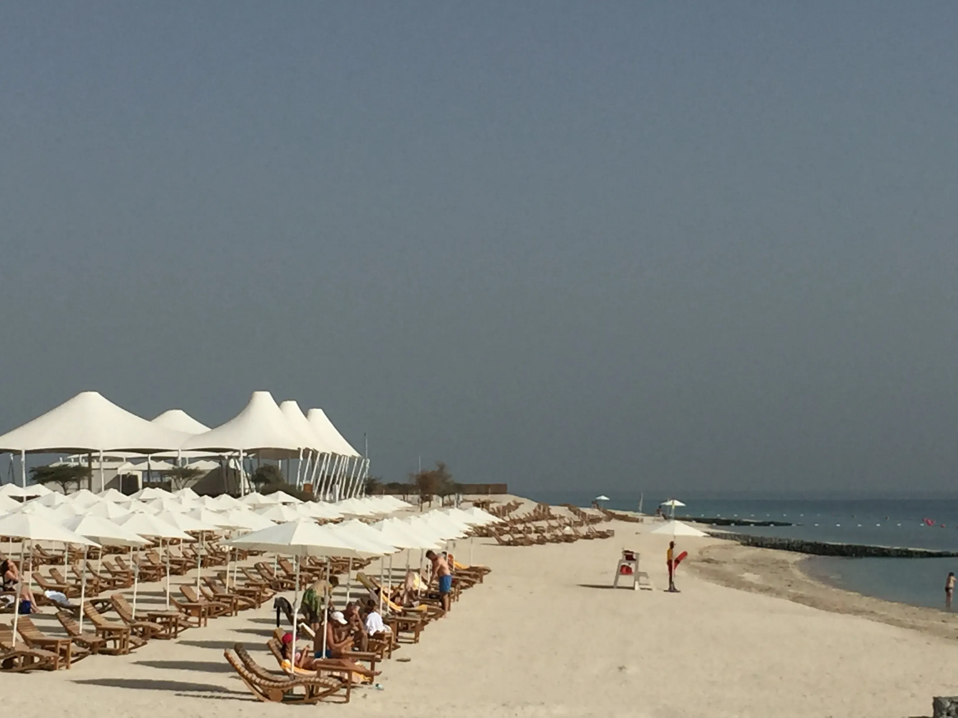 Idyllische Landschaft der Sir Bani Yas Insel, bekannt für ihren exklusiven Kreuzfahrtstrand
