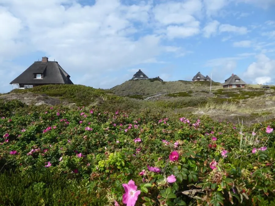 Idyllisches Sylt mit Meerblick