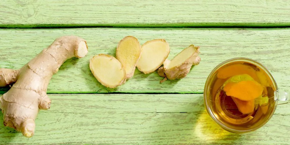 Ingwerwurzel und Scheiben