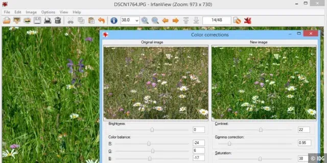 IrfanView Bildbetrachter mit geöffnetem Bild
