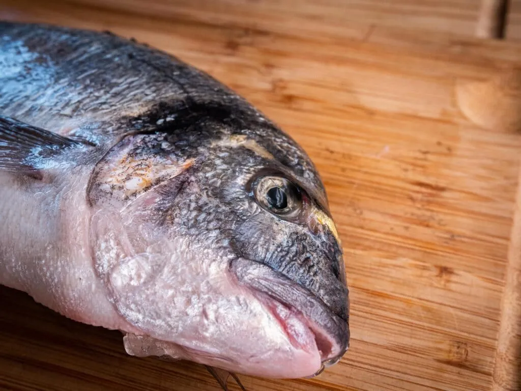 Klare Augen als Zeichen für frischen Fisch vor dem Grillen