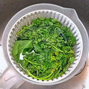 Kräuter waschen und trockenschleudern für Grüne Soße