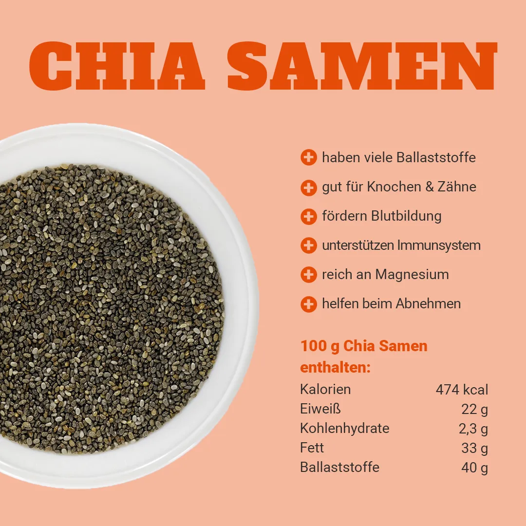Lebensmittel Chia zum abnehmen