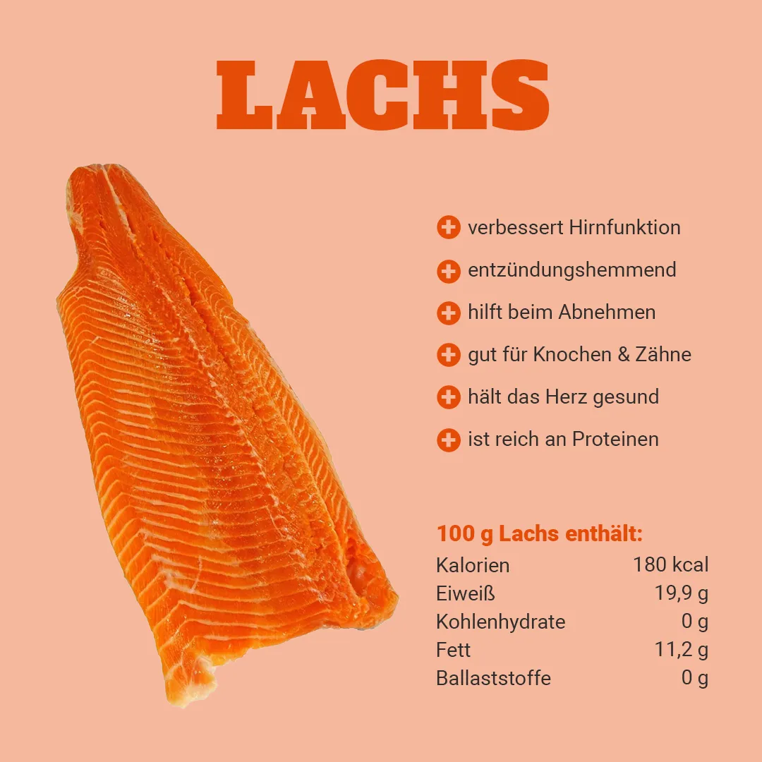 Lebensmittel Lachs
