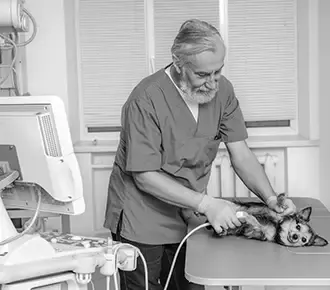 Medizinische Geräte in einer Tierarztpraxis