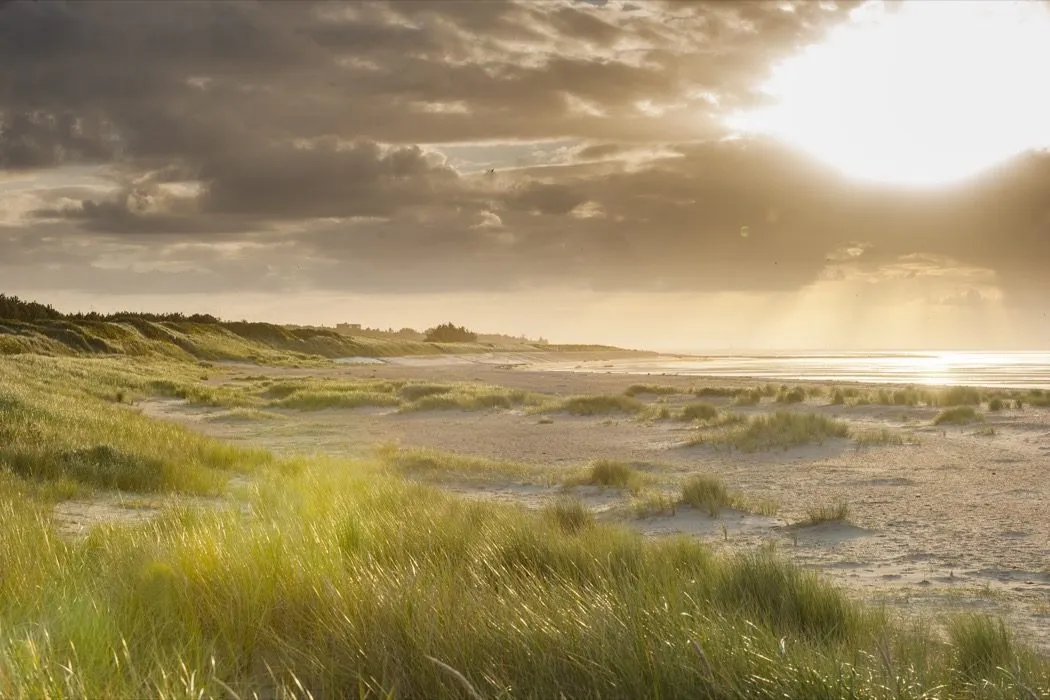Morgenstimmung am Strand von Nieblum auf Föhr