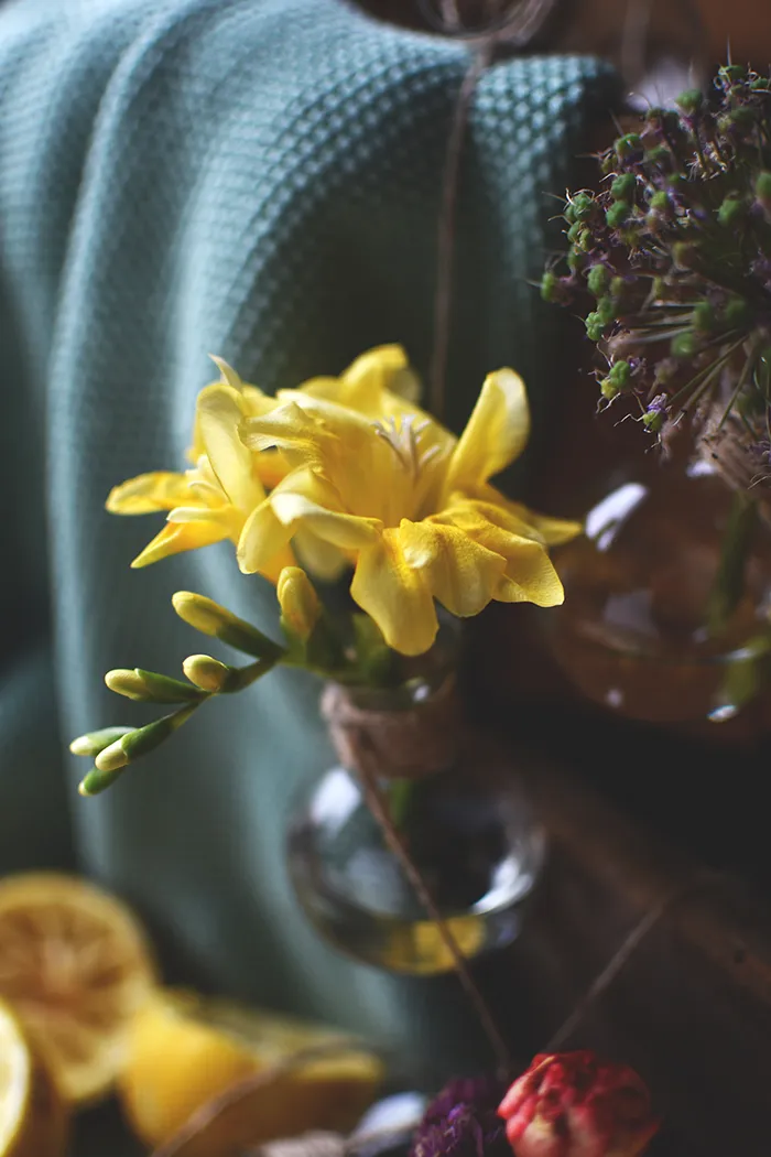 Nahaufnahme des fluffigen Zitronen-Mohn-Kuchens