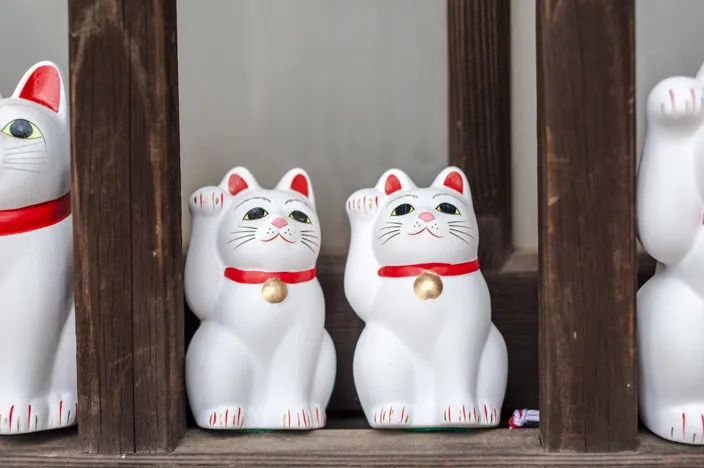 Nahaufnahme einer Winkekatze mit vielen anderen im Hintergrund