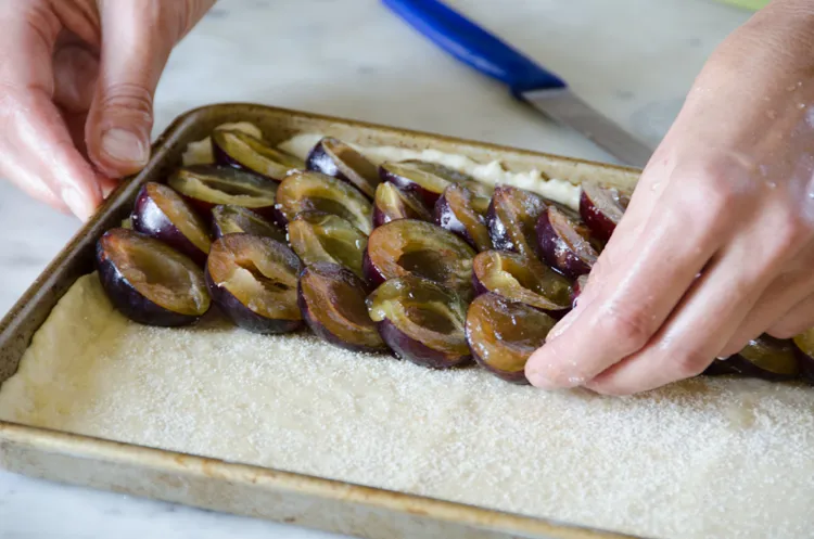 Nahaufnahme von frischen Zwetschgen, bereit zum Backen
