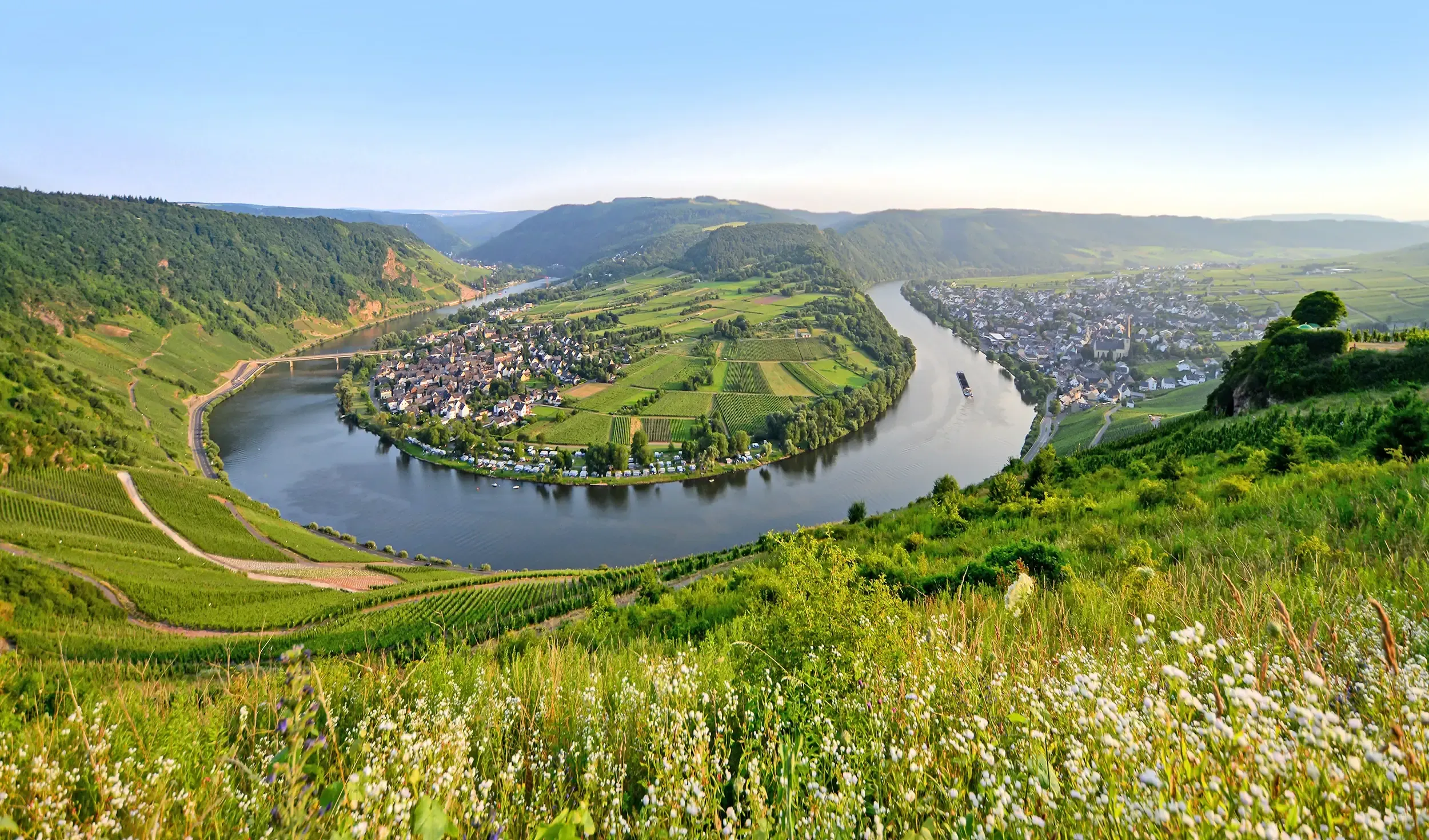 Panoramabild der Moselschleife zwischen Weinhängen und blühenden Wiesen