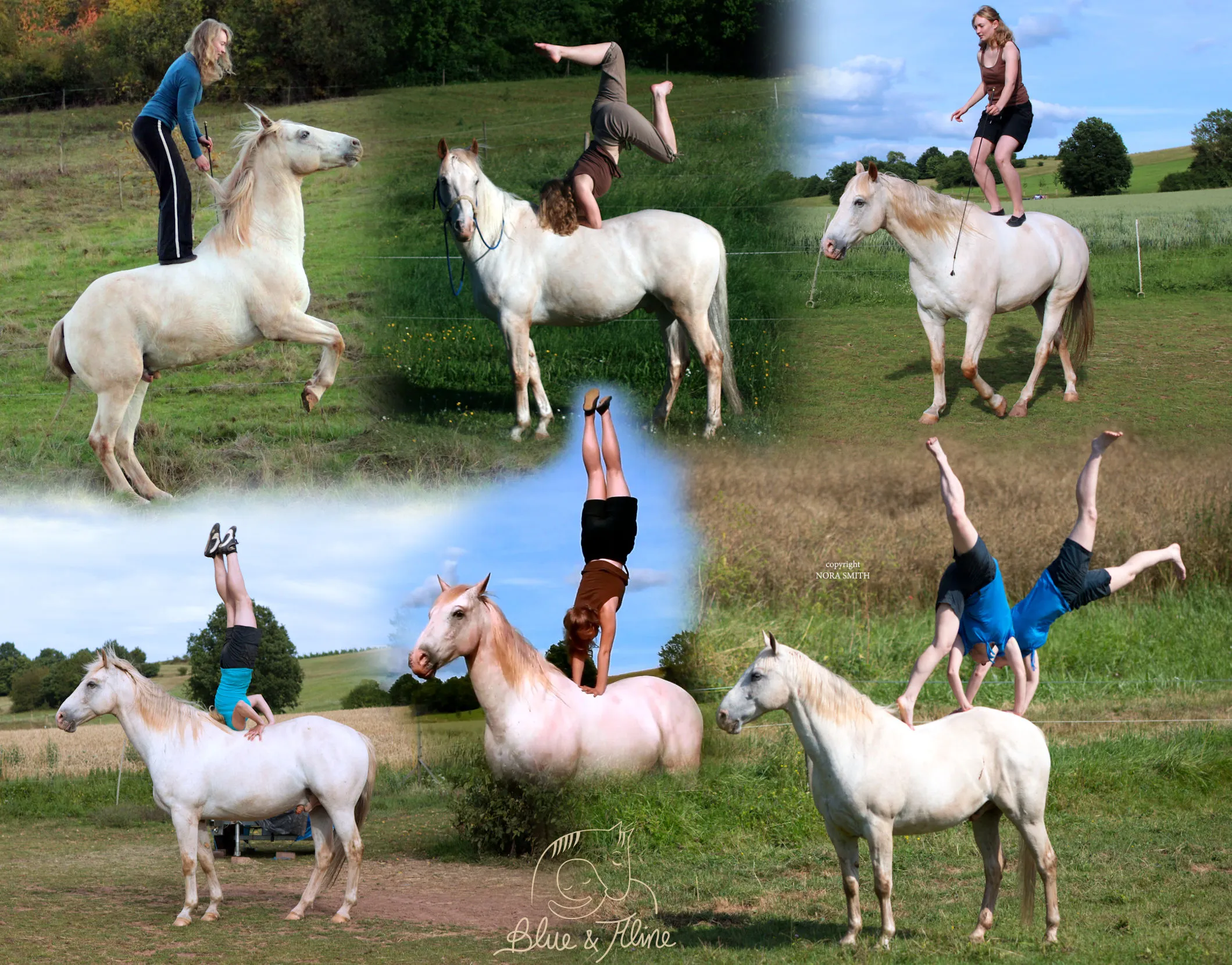 Pferd Blue steht, während eine Frau eine akrobatische Pose auf seinem Rücken einnimmt