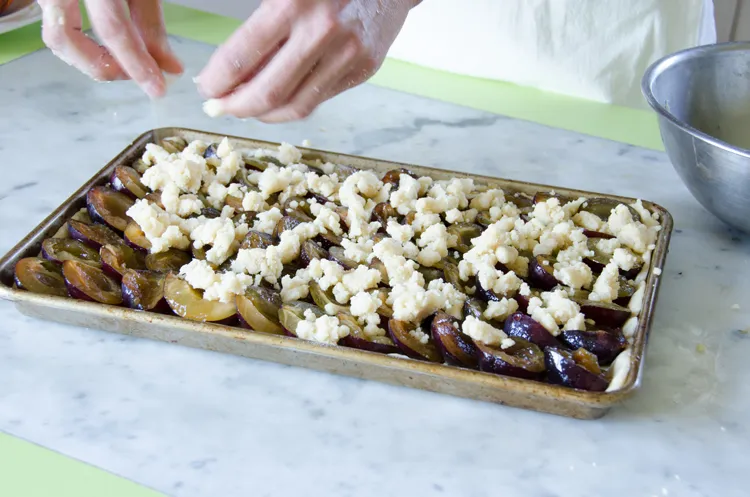Pflaumenhälften dachziegelartig auf dem Teig angeordnet