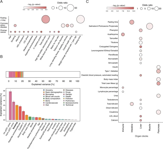 Phänotyp-Anreicherung von Plasma-Proteomik-Signaturen