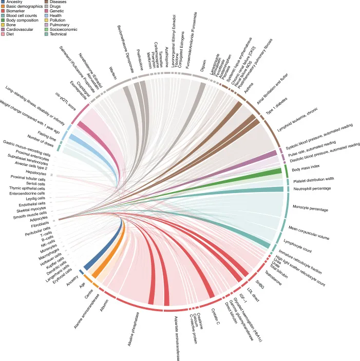 Plasma-Proteine verbinden Zelltypen mit Gesundheits- und Krankheitsindikatoren