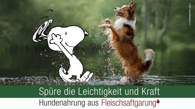 PLATINUM Hundefutter mit dem Hinweis auf Fleischsaftgarung