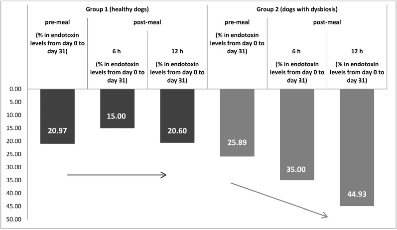 Prozentuale Abnahme der Endotoxin-Konzentrationen bei gesunden Hunden und Hunden mit Dysbiose