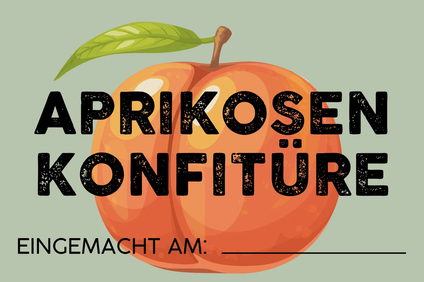 Rechteckiges Etikett für hausgemachte Aprikosenmarmelade