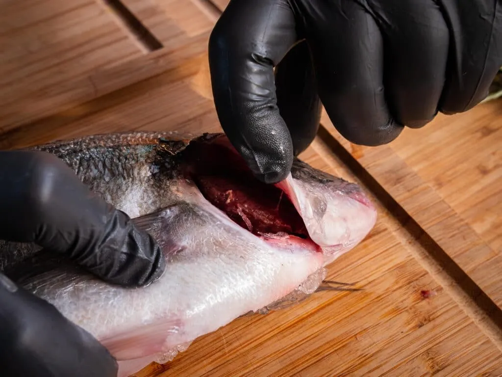 Rote Kiemen deuten auf die Frische des Fisches hin