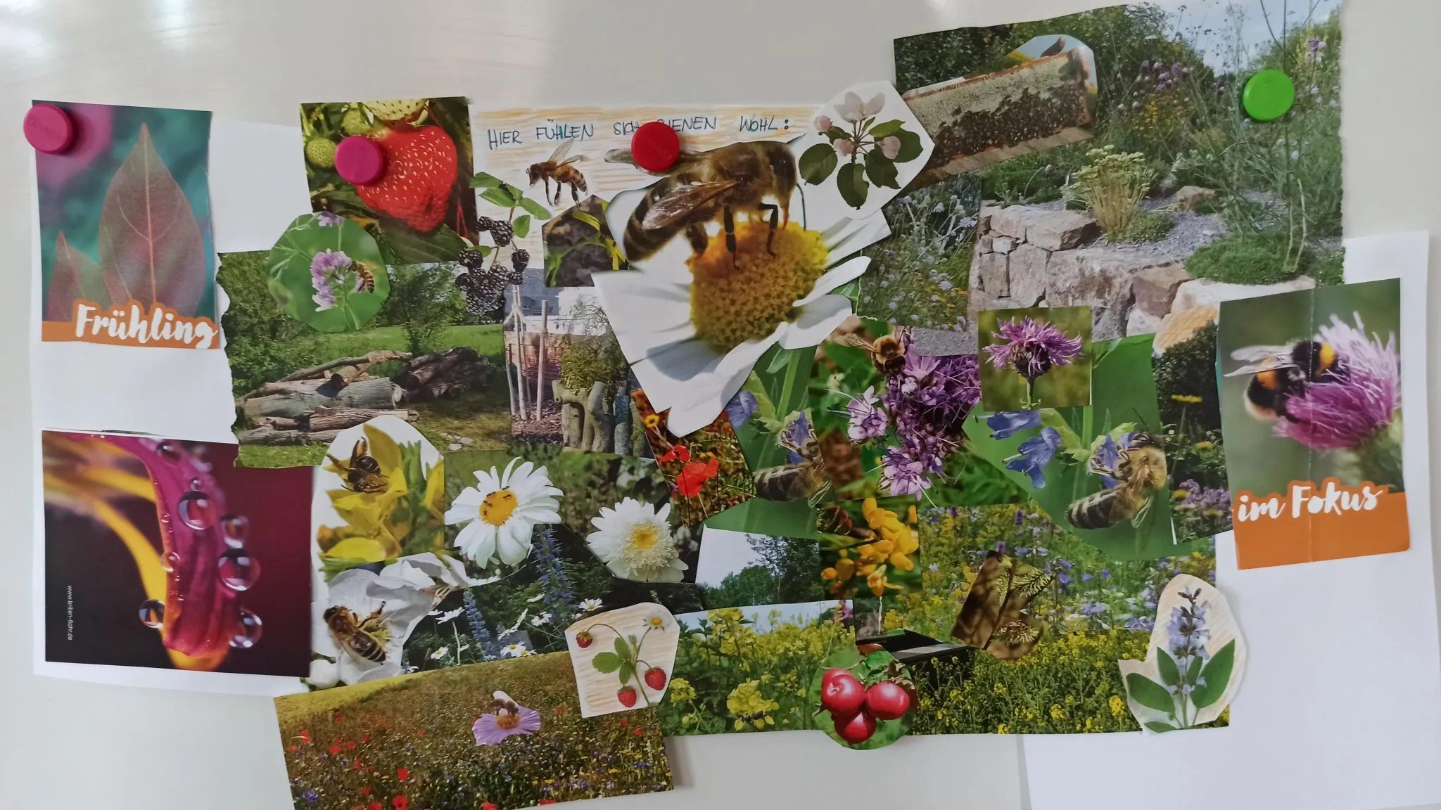 Schülerinnen und Schüler lernen von einem Imker