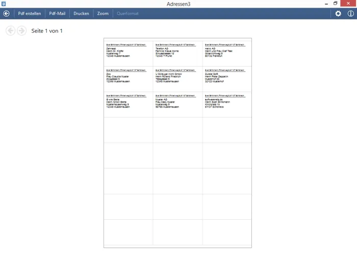 Screenshot der Adressverwaltung Druckvorschau