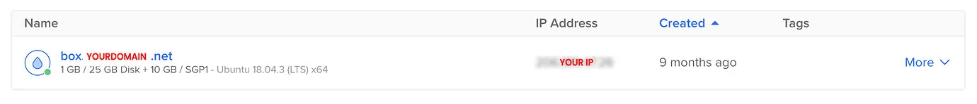 Screenshot der Server-Übersicht in DigitalOcean mit IP-Informationen