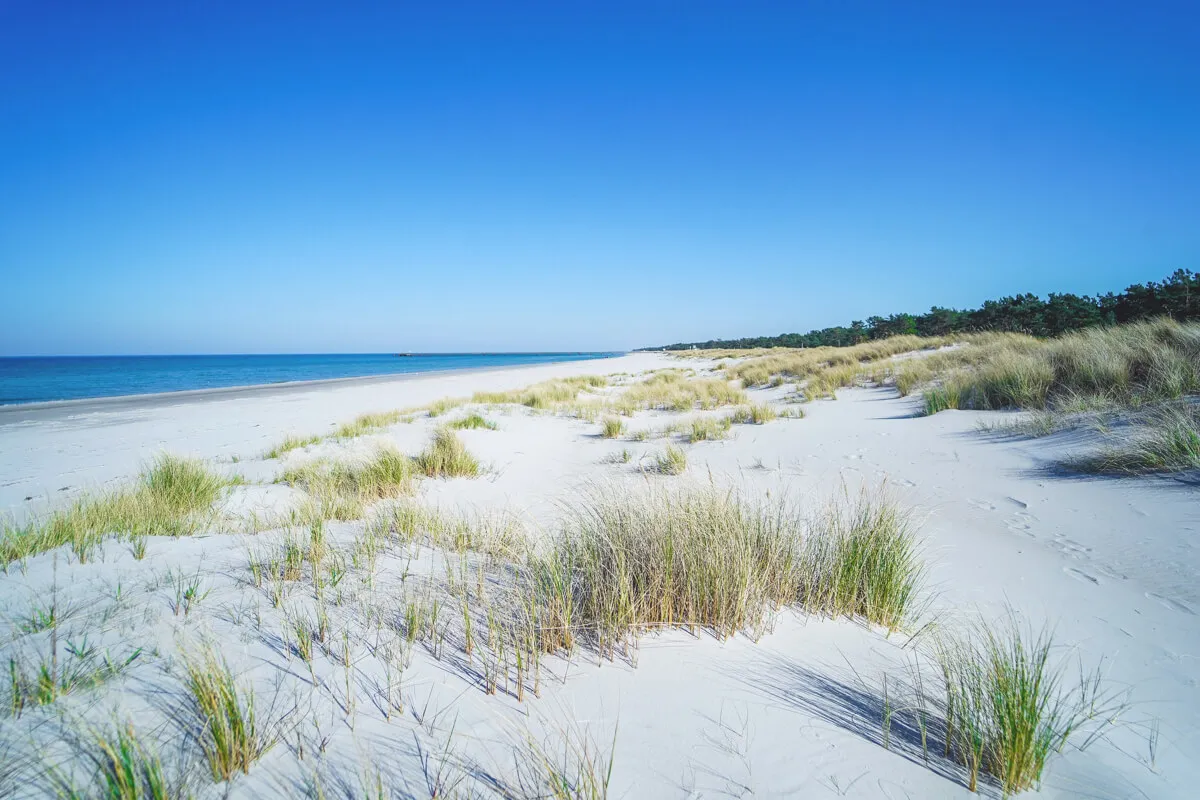 Strand in Prerow mit Seebrücke im Hintergrund