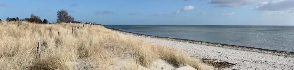 Strand, Meer Ostsee im Winter