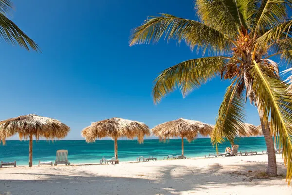 Strand mit Palmen und Sonnenliegen auf Kuba