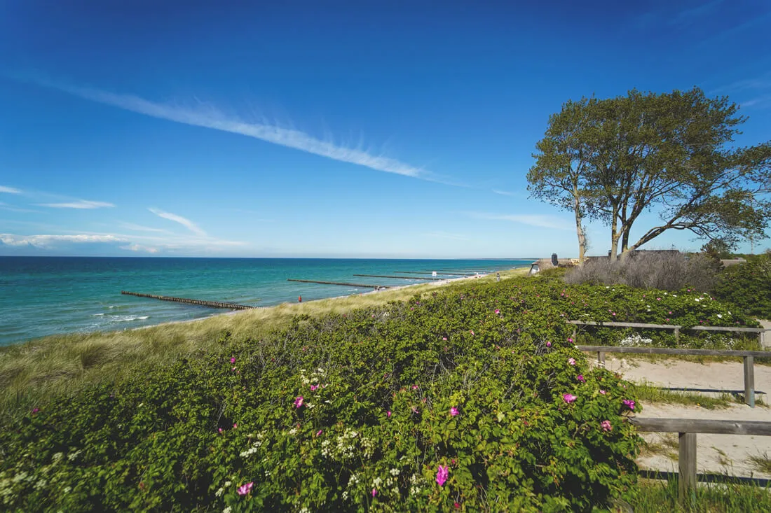 Strand und Weg zum hohen Ufer in Ahrenshoop