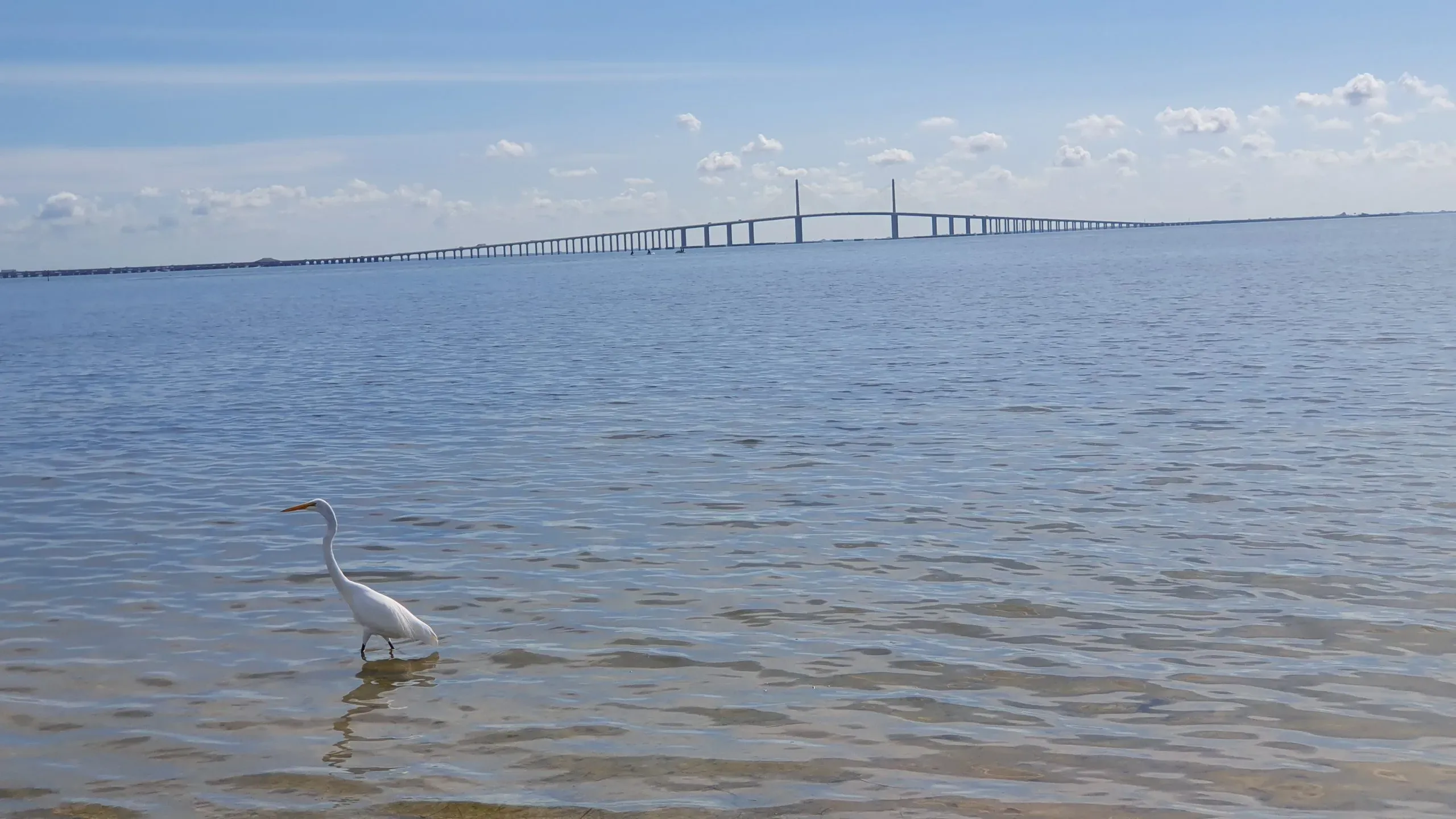 Sunshine Skyway Bridge überspannt die Tampa Bay