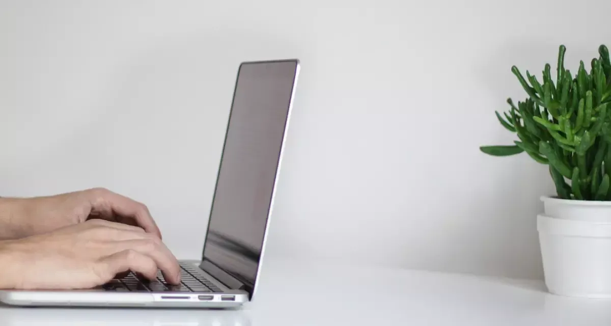 Symbolbild für die Bewerbung zum Freiwilligen Ökologischen Jahr