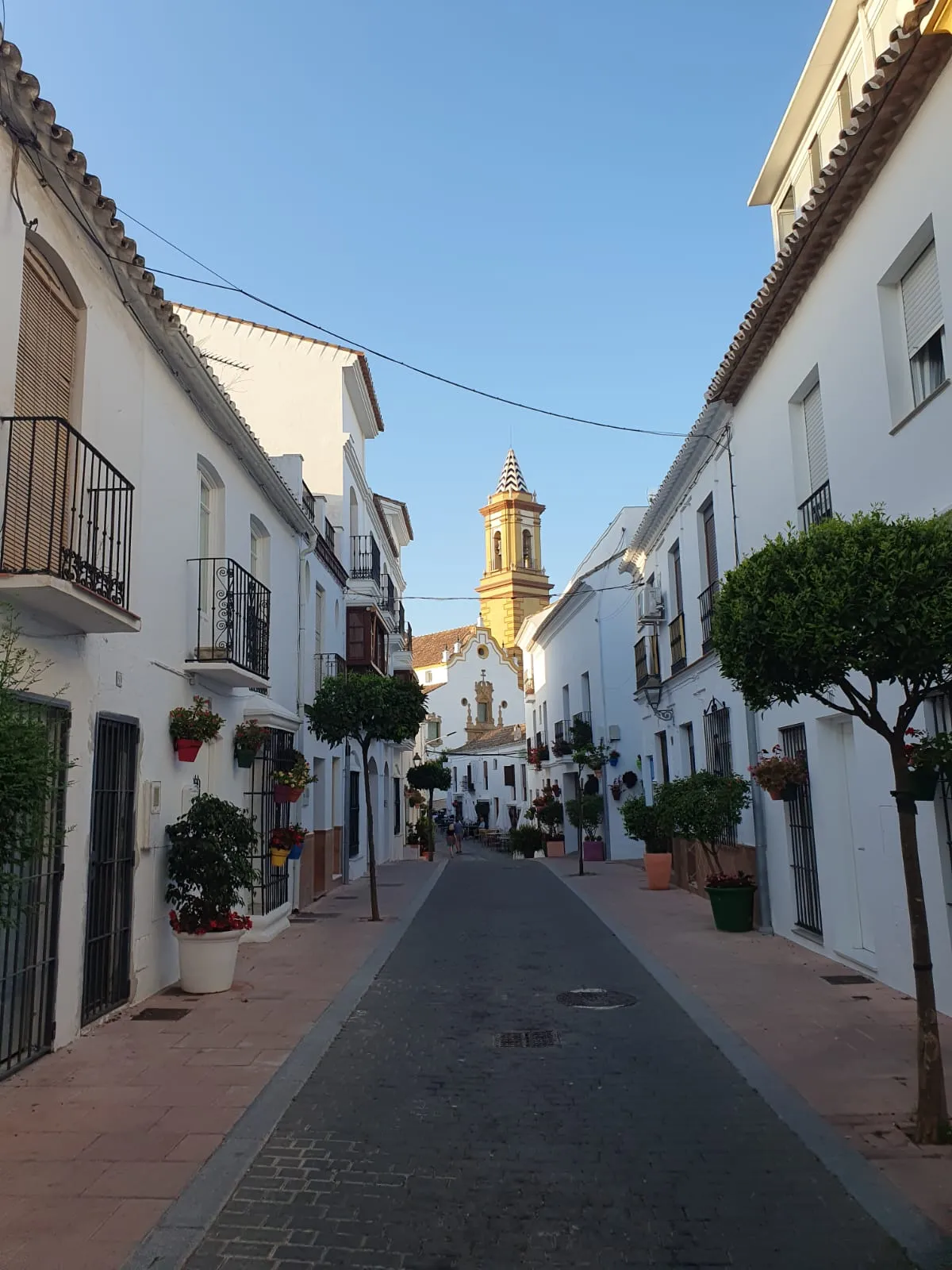 Teamfoto der teilnehmenden Mannschaften