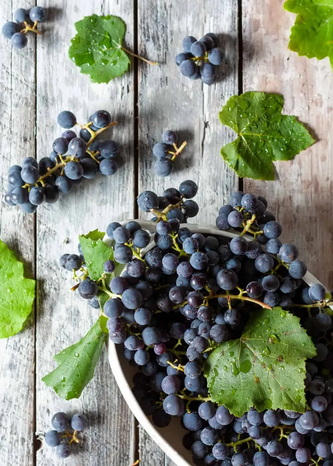 Torta Bertolina - Traditioneller Traubenkuchen aus der Lombardei