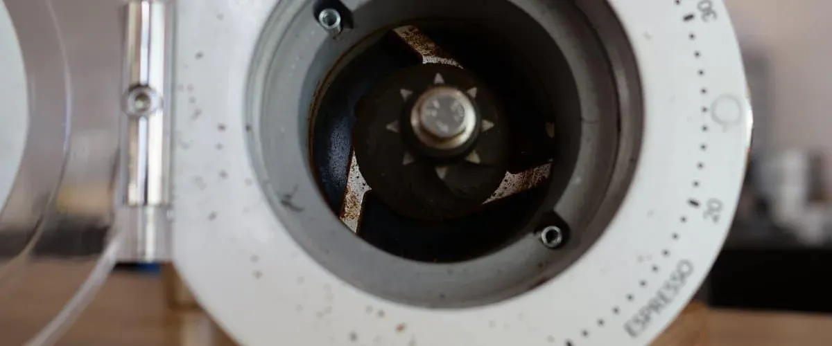 Totraum der Niche Zero