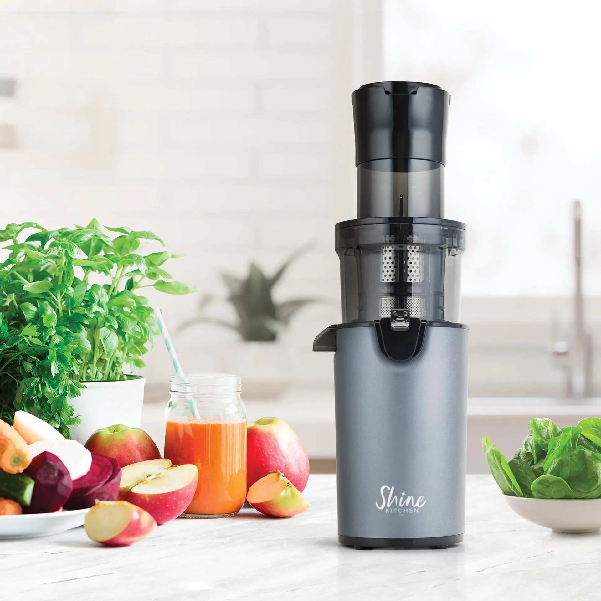 Tribest Shine Easy Juicer in Grau