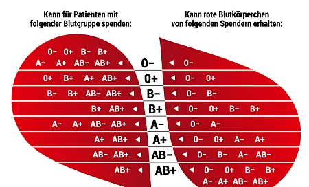Übersicht zur Blutgruppen-Kompatibilität: Wer kann wem Blut spenden?