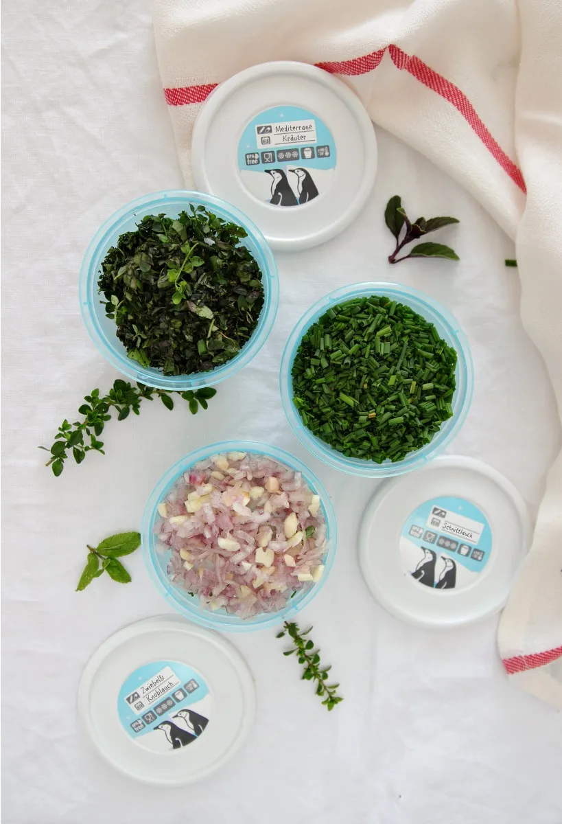 Übersichtliche Anordnung verschiedener Meal-Prep-Mahlzeiten in Frischhaltedosen