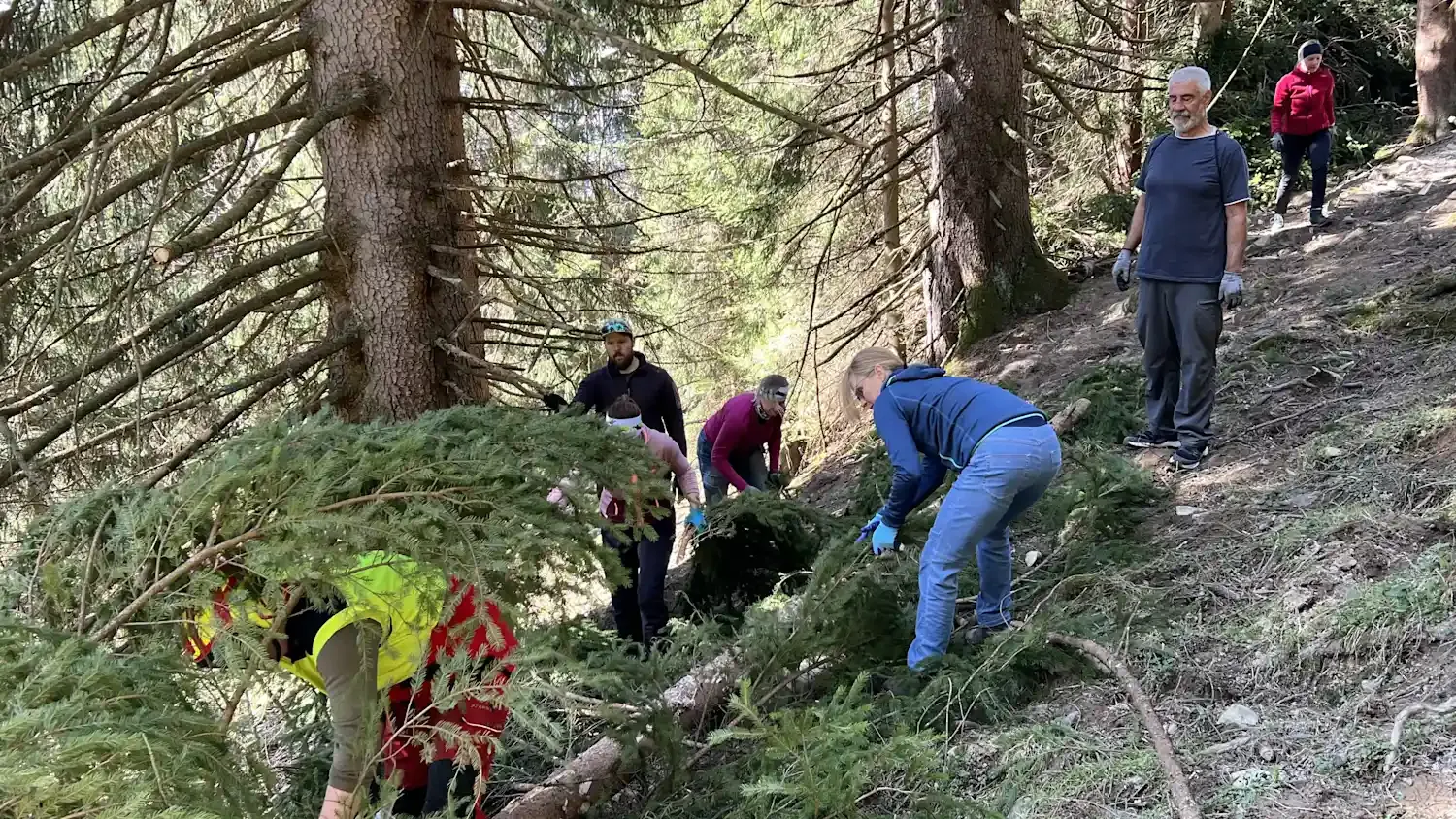 Urlaubsgäste helfen bei Schwendaktionen auf der Weitalm im Achental mit