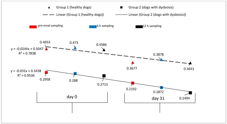 Veränderungen der Endotoxämie-Konzentrationen und lineare Regression bei gesunden und dysbiotischen Hunden