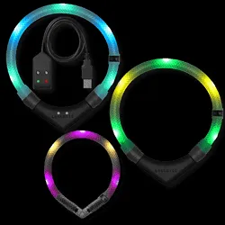 Verschiedene LEUCHTIE Hundeleuchthalsbänder in leuchtenden Farben und Größen