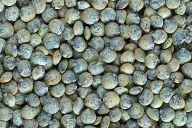 Verschiedene Linsensorten in einer Schale mit Kochlöffel