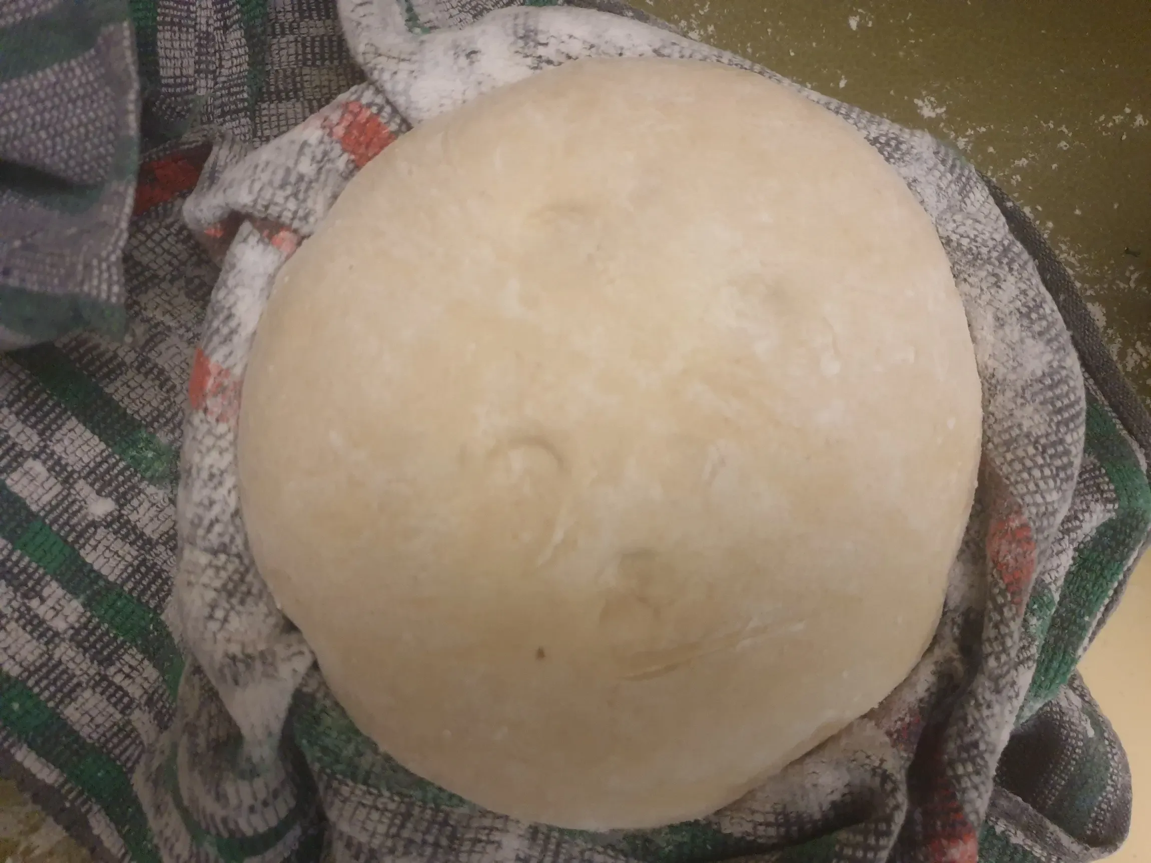 Vollständig aufgegangener Dinkelbrot-Teig in einer Gärform