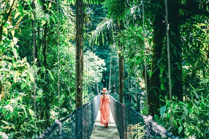 Wanderer auf einer Hängebrücke im Regenwald