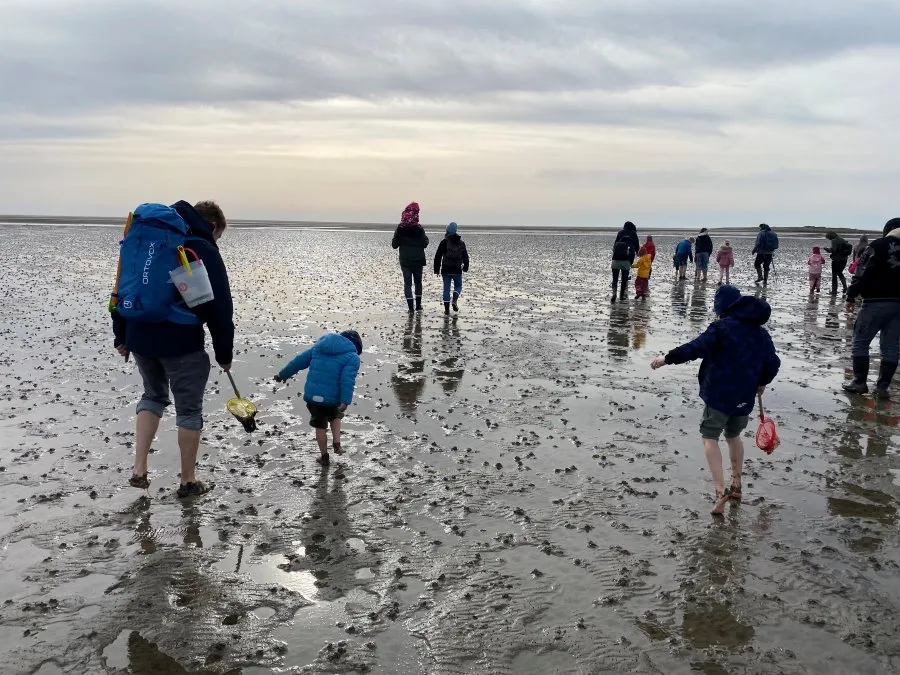 Wattwanderung in Sankt-Peter-Ording