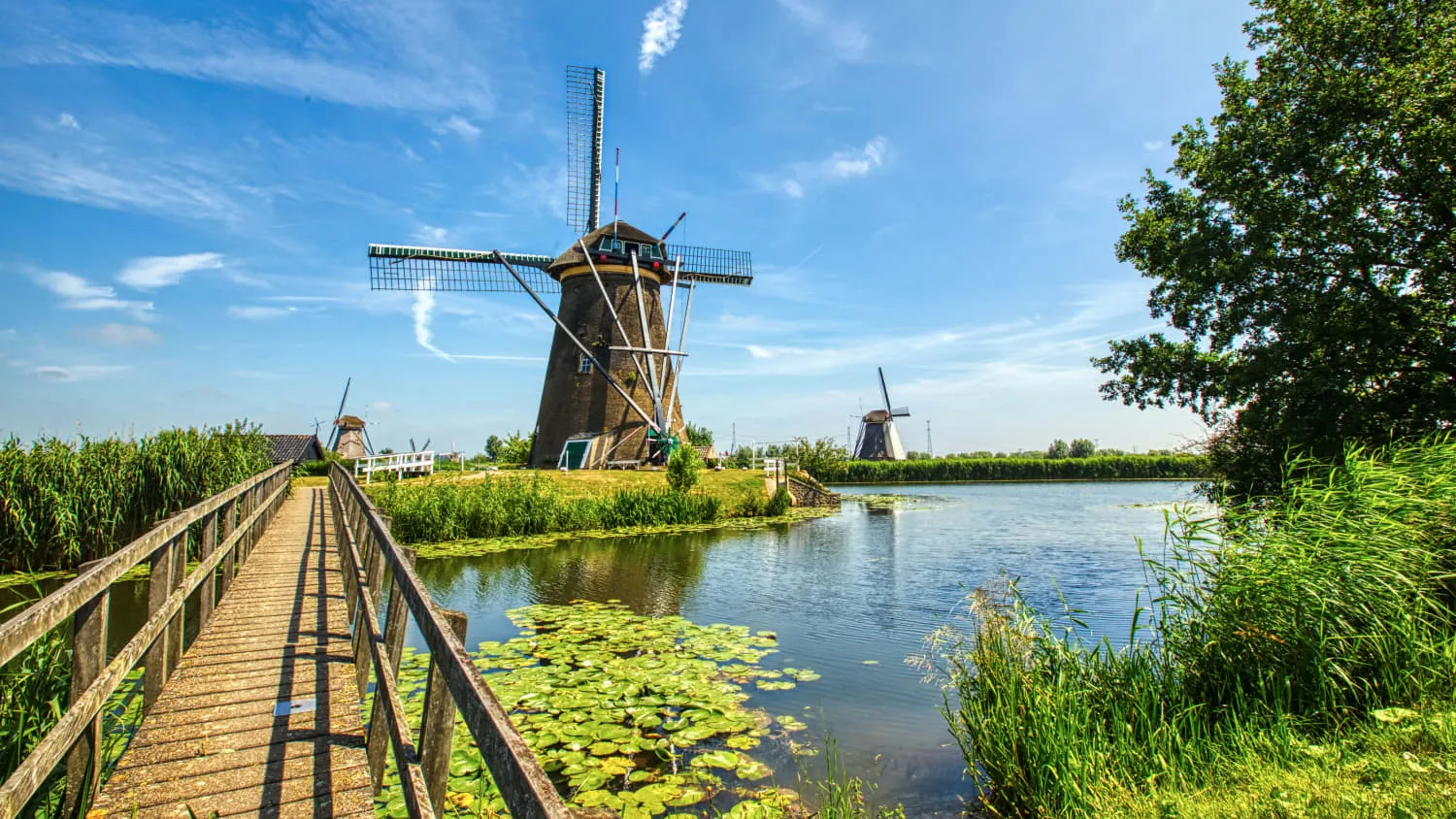 WIndmühlen Kinderdijk in Südholland