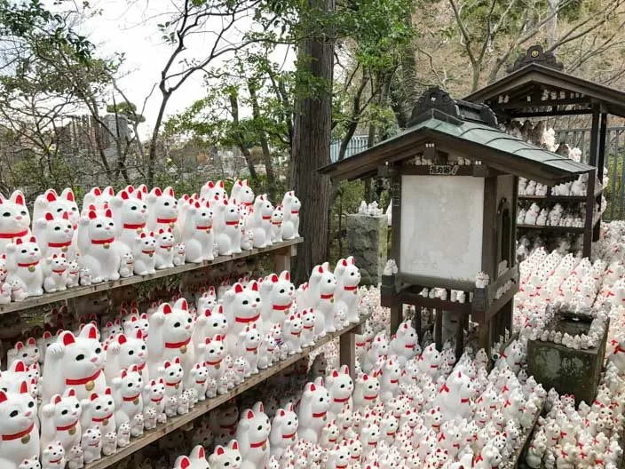 Winkekatzen in verschiedenen Größen im Gotokuji Tempel