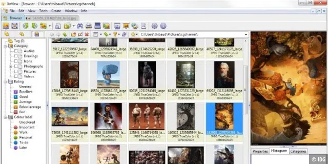 XnView mit verschiedenen Bilddateien in der Übersicht