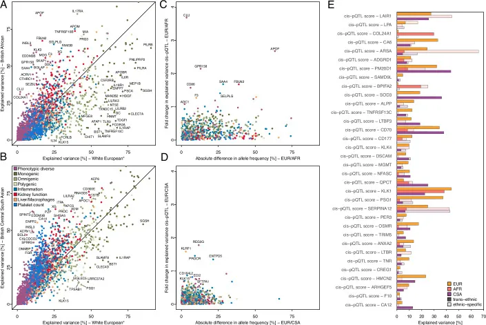Zusammenfassung der abstammungsstratifizierten Analyse